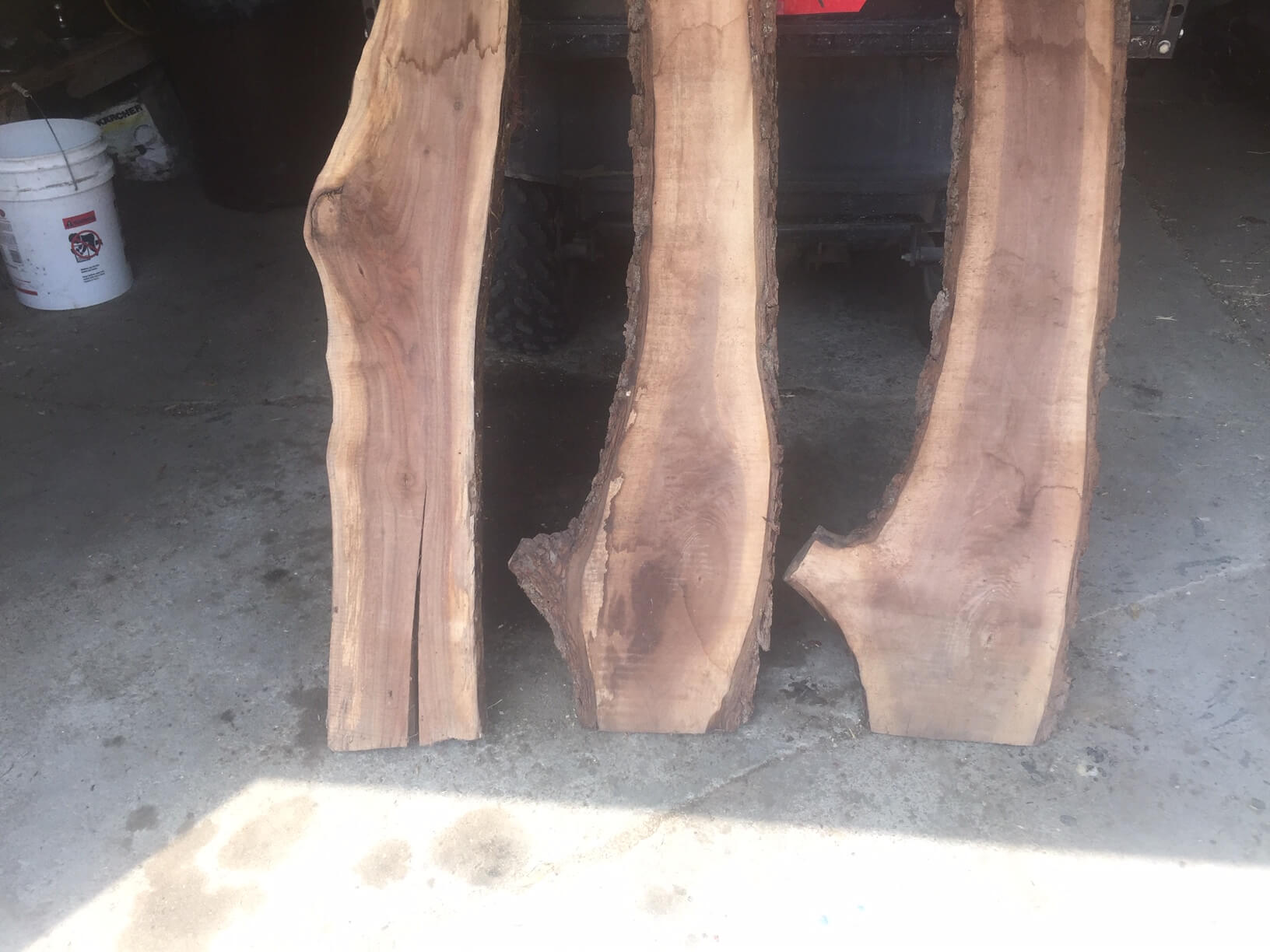 Live Edge Multi Trumpet Stand